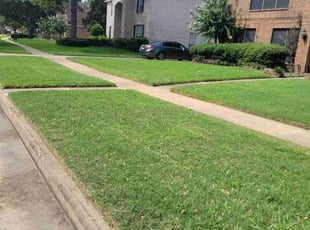 Margaret M.'s lawn maintenance service result