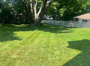 Sandra J.'s turf maintenance service result