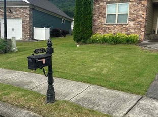 Kris G.'s lawn service service result