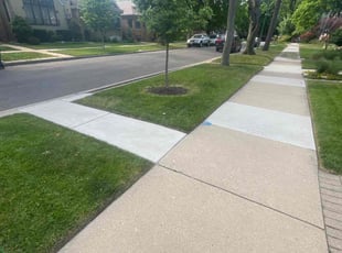 Dyanna V.'s grass cutting service result