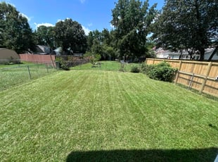 Tyler L.'s lawn maintenance service result
