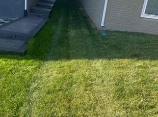 Daniel V.'s lawn care services service result