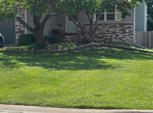 Akeem F.'s residential landscaping service result