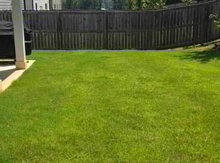 Sally B.'s turf maintenance service result