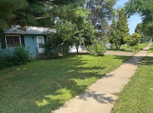 Miranda N.'s lawn service service result