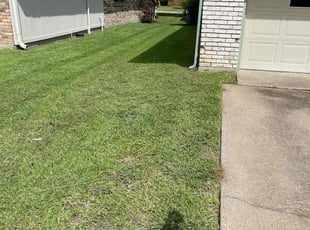 Pedro S.'s turf care service result