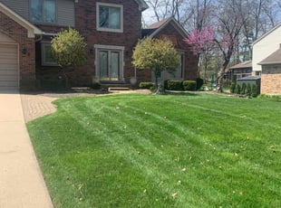 Austin M.'s lawn maintenance service result