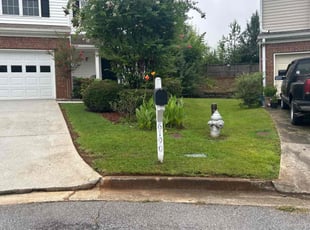 Kathy D.'s lawn care services service result