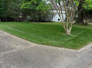 Ernest E.'s lawn maintenance service result