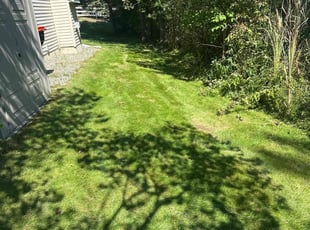 Sheneathia D.'s lawn service service result