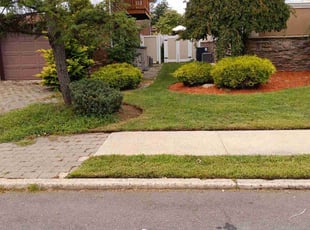 Daniel C.'s lawn maintenance service result