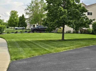 Brandon P.'s lawn care services service result