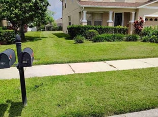Nicole H.'s turf maintenance service result