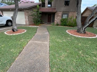 Ebony v.'s lawn care services service result