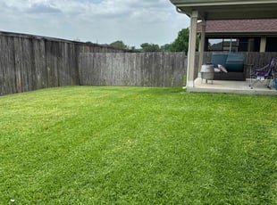 Thomas B.'s grass maintenance service result