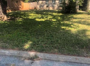 Amy H.'s grass cutting service result