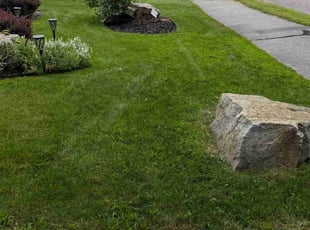 Chris R.'s grass cutting service result