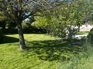 Madelyn G.'s lawn service service result