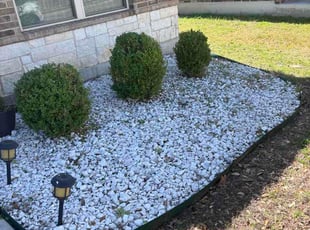 Elizabeth D.'s Bush Trimming service result