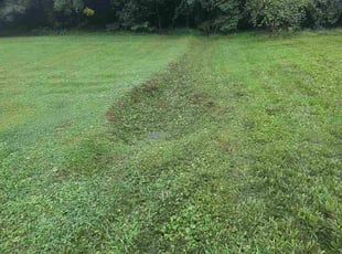 Jimmy D.'s lawn care service result