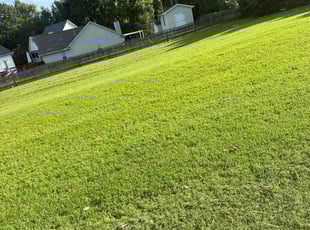 Kevin M.'s lawn care services service result