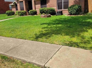 Dina C.'s turf care service result