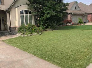 Wayne B.'s lawn maintenance service result
