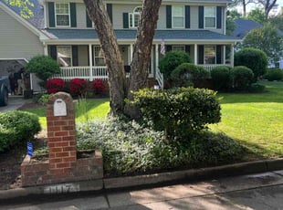 Nichold P.'s turf care service result