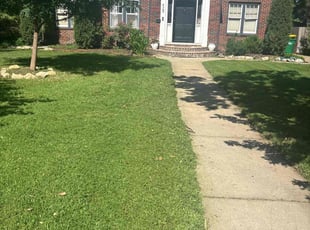 Alyssa P.'s turf maintenance service result