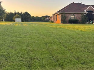 Tiffany J.'s lawn service service result