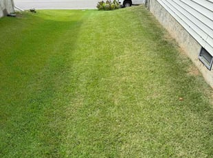 Rachel L.'s lawn service service result