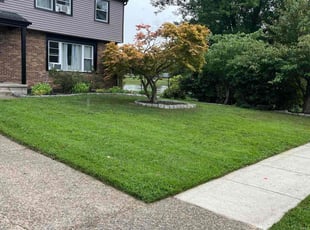 Tamme U.'s lawn service service result
