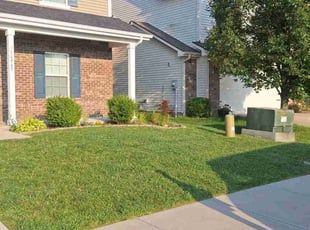 Angela c.'s turf care service result