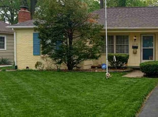 Brittany N.'s turf maintenance service result