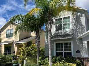 Kyam G.'s Tree Care service result