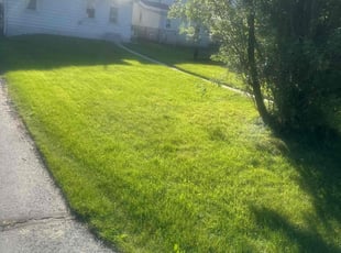Burt S.'s lawn service service result