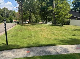 Robson S.'s lawn service service result