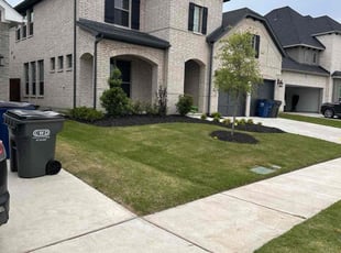 Mathew H.'s lawn care services service result