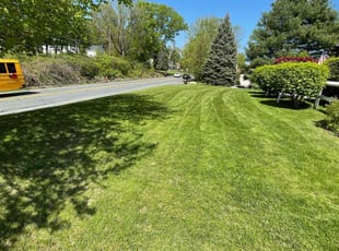 Randolph J.'s turf maintenance service result