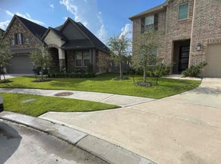 Michelle P.'s lawn care service result