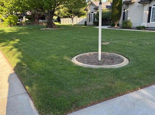Erica M.'s lawn care services service result