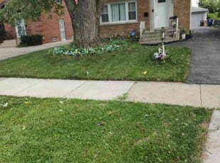 Sabrina B.'s lawn care service result