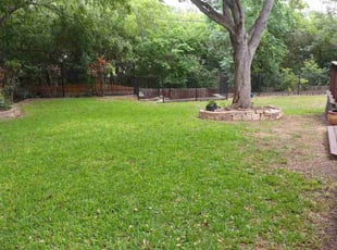 Mary B.'s grass maintenance service result