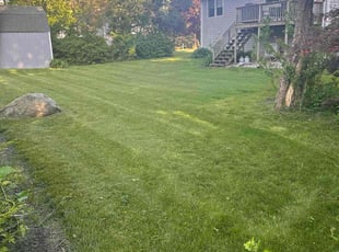 Terry L.'s lawn care service result