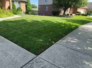 Stasik P.'s lawn care services service result