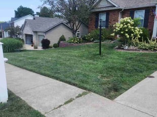 Tiffany A.'s turf maintenance service result