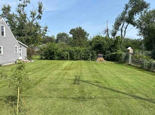 Kali W.'s lawn care service result