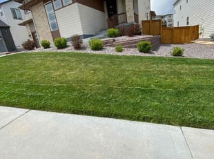 James M.'s lawn maintenance service result