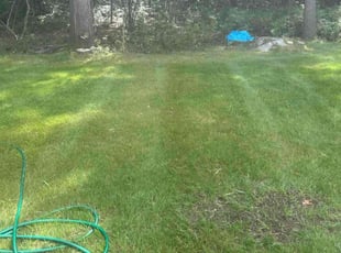 Joshua S.'s turf maintenance service result