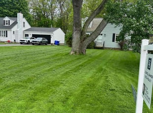 Jennifer B.'s lawn care service result